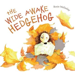 The Wide-Awake Hedgehog