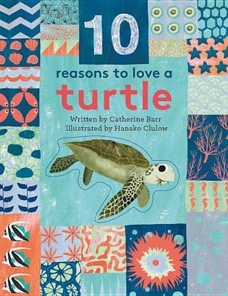 10 Reasons to Love A... Turtle