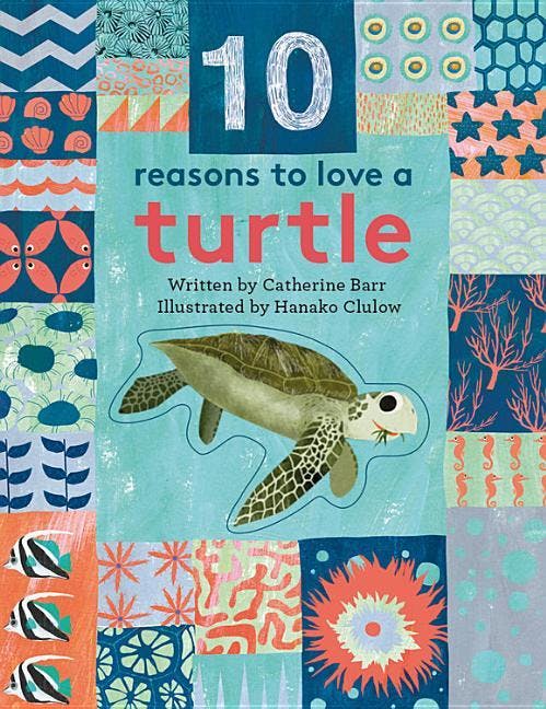10 Reasons to Love A... Turtle