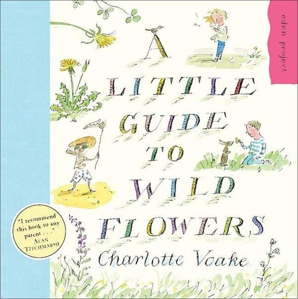 Little Guide to Wild Flowers