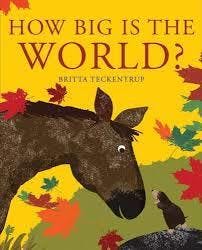 How Big Is the World?