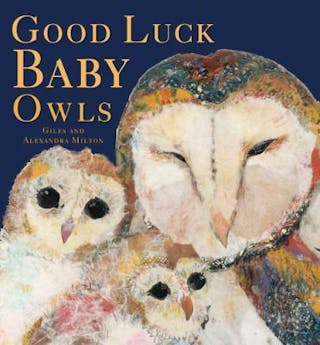 Good Luck Baby Owls
