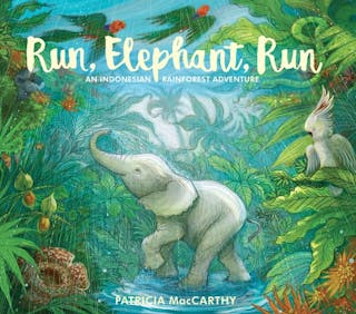 Run, Elephant, Run