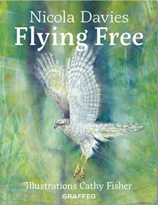 Flying Free