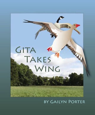 Gita Takes Wing