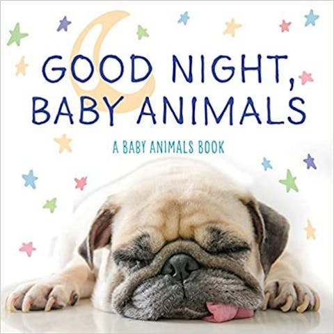 Good Night, Baby Animals