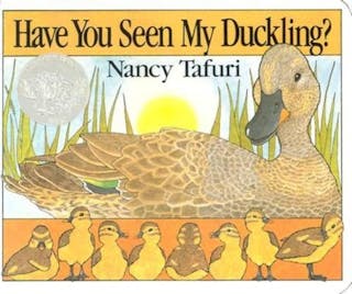Have You Seen My Duckling? Board Book
