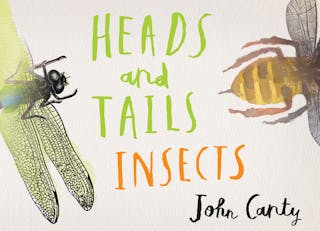 Heads and Tails: Insects