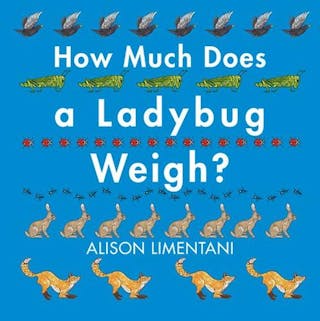 How Much Does a Ladybug Weigh?