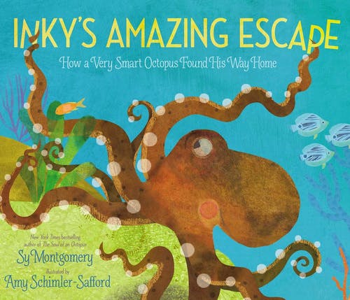 Inky's Amazing Escape: How a Very Smart Octopus Found His Way Home