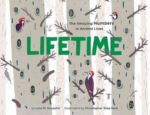 Lifetime: The Amazing Numbers in Animal Lives