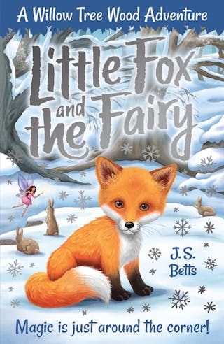 Little Fox and the Fairy
