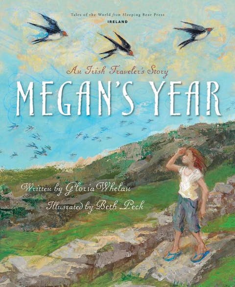 Megan's Year: An Irish Traveler's Story
