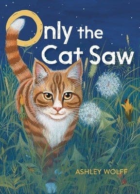 Only the Cat Saw