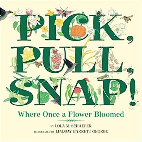 Pick, Pull, Snap!: Where Once a Flower Bloomed