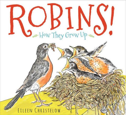 Robins!: How They Grow Up