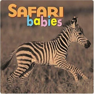 Safari Babies