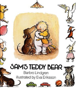 Sam's Teddy Bear