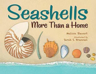 Seashells: More Than a Home