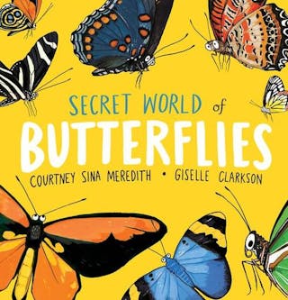 Secret World of Butterflies
