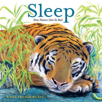 Sleep: How Nature Gets Its Rest