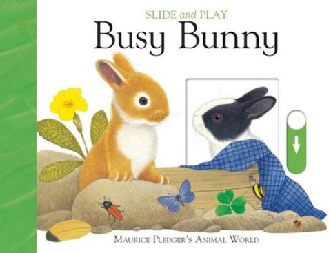 Slide and Play: Busy Bunny