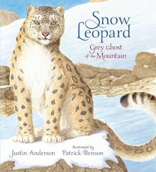 Snow Leopard: Gray Ghost of the Mountain