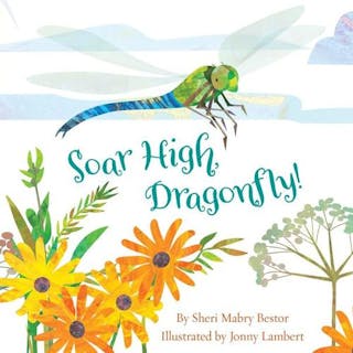 Soar High, Dragonfly