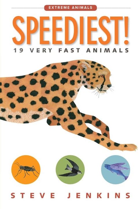 Speediest! 19 Very Fast Animals