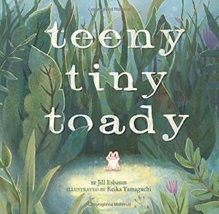 Teeny Tiny Toady