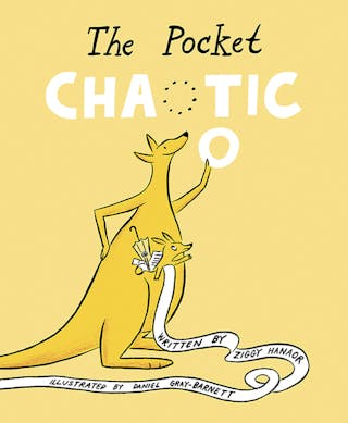 The Pocket Chaotic