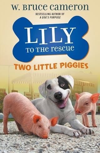 Two Little Piggies