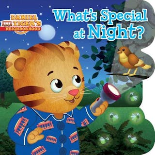 What's Special at Night?