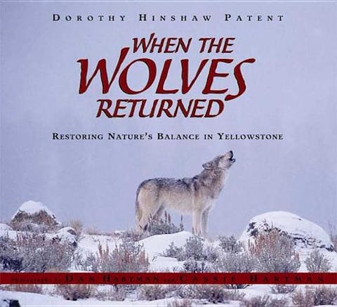 When the Wolves Returned: Restoring Nature's Balance in Yellowstone