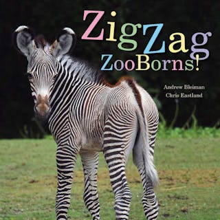 ZigZag ZooBorns!