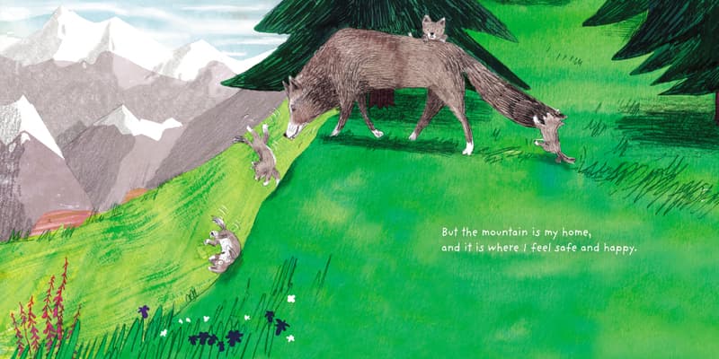 Illustration from On My Mountain
