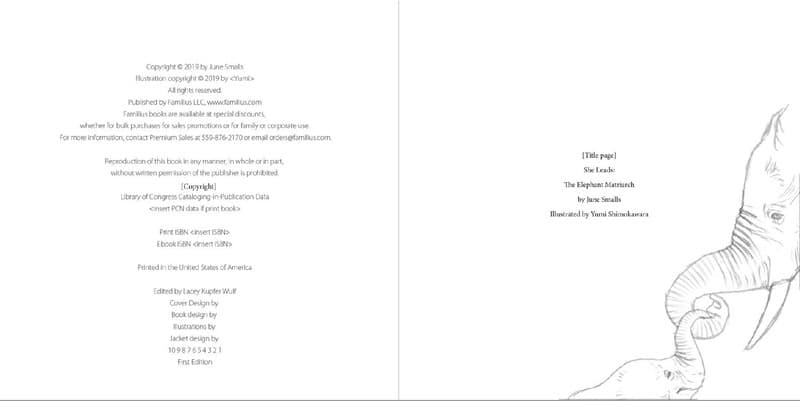 Illustrator Yumi Shimokawara - Rough Art Title Page